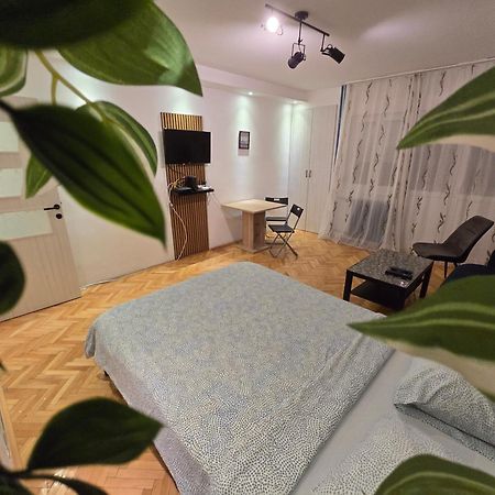 בלגרד Azzurro Studio Apartment מראה חיצוני תמונה