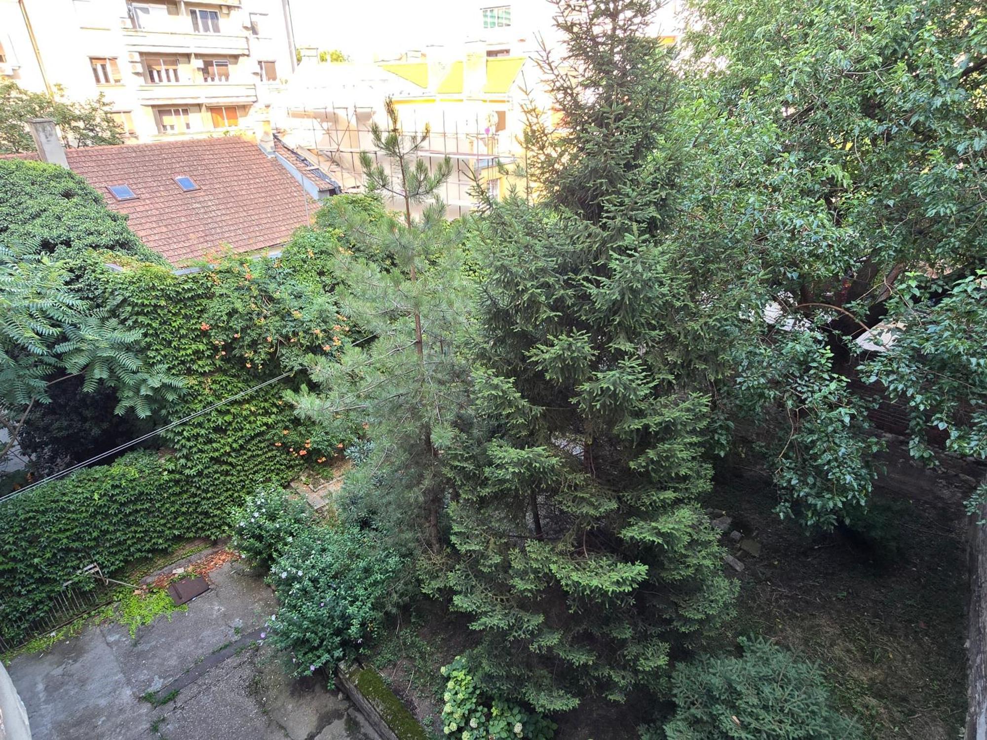 בלגרד Azzurro Studio Apartment מראה חיצוני תמונה