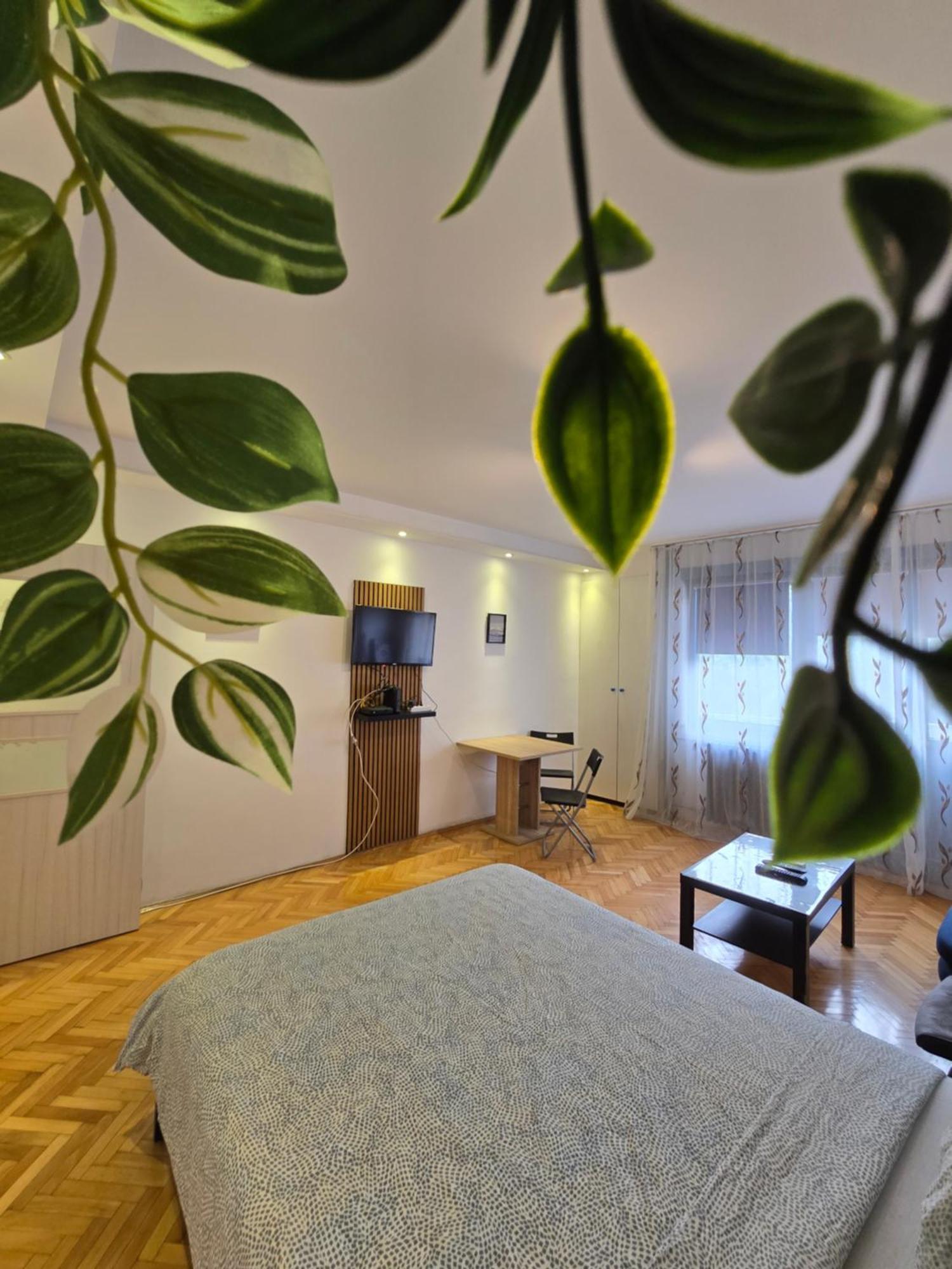 בלגרד Azzurro Studio Apartment מראה חיצוני תמונה