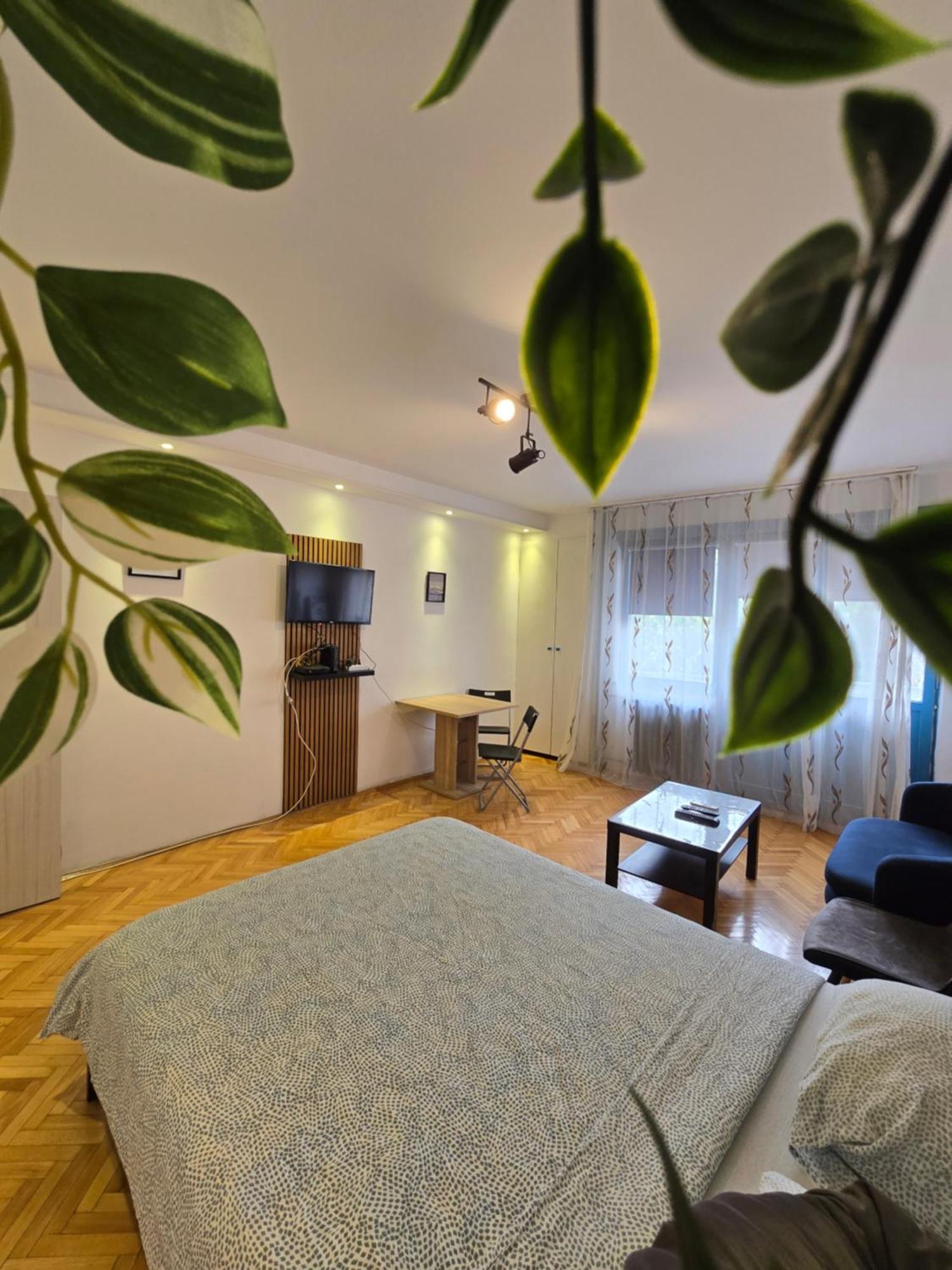 בלגרד Azzurro Studio Apartment מראה חיצוני תמונה