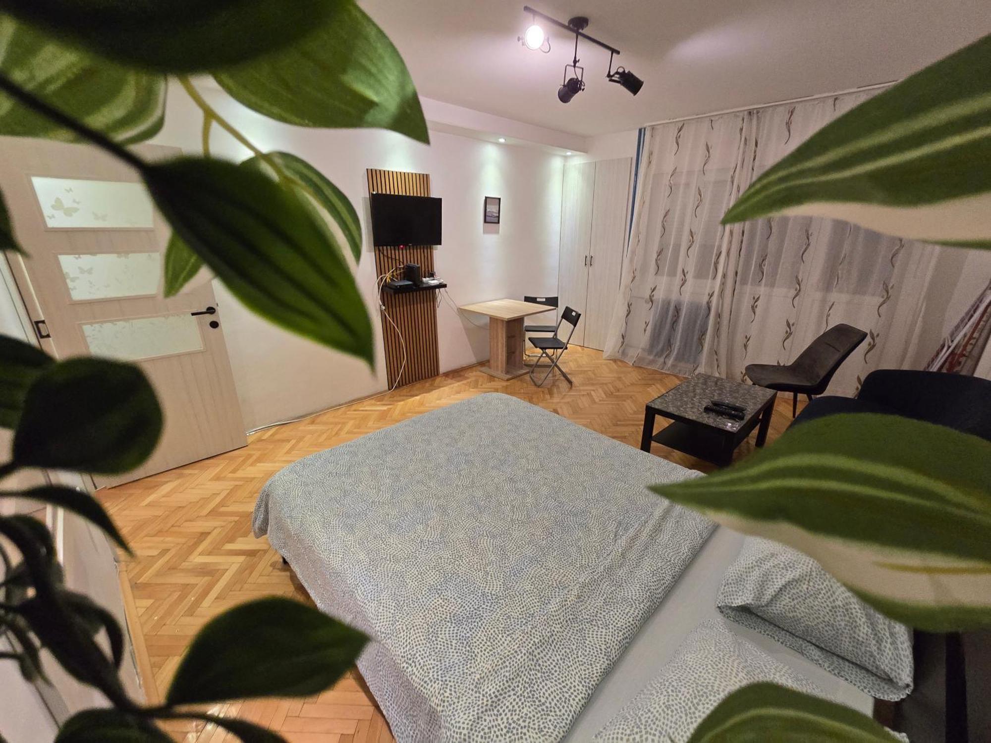 בלגרד Azzurro Studio Apartment מראה חיצוני תמונה